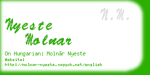 nyeste molnar business card